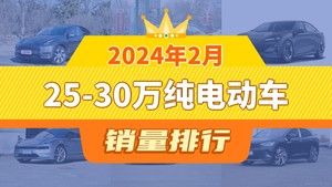 2024年2月25-30万纯电动车销量排行榜，Model Y夺得冠军，第二名差距也太大了 