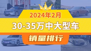2024年2月30-35万中大型车销量排行榜，红旗H9屈居第三，岚图追光成最大黑马
