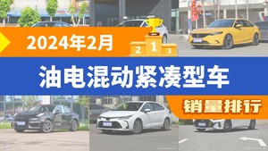 2024年2月油电混动紧凑型车销量排行榜，型格屈居第三