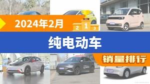 2024年2月纯电动车销量排行榜：市场洗牌，谁将领跑未来？