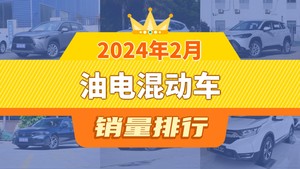 2024年2月油电混动车销量排行榜，哈弗H6位居第二，第一名你绝对想不到