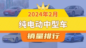 2024年2月纯电动中型车销量排行榜，丰田bZ3屈居第三