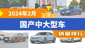 2024年2月国产中大型车销量排行榜，极氪001位居第二，第一名你绝对想不到