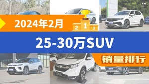 2024年2月25-30万SUV销量排行榜，Model Y夺得冠军，第二名差距也太大了 