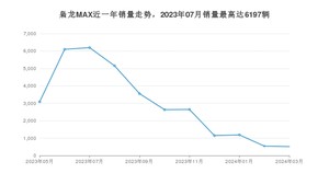 2024年3月长城枭龙MAX销量多少？ 在哪个城市卖得最好？