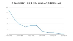 2024年3月哈弗H6新能源销量数据发布 共卖了2台