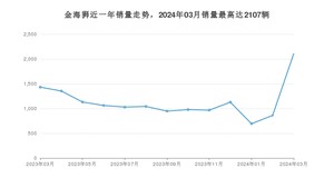 2024年3月SRM鑫源金海狮销量多少？ 在哪个城市卖得最好？