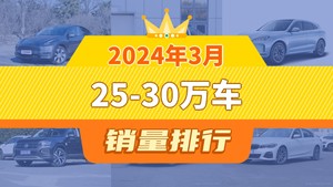 2024年3月25-30万车销量排行榜，Model Y夺得冠军，第二名差距也太大了 