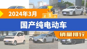 2024年3月国产纯电动车销量排行榜，海鸥夺得冠军，第二名差距也太大了 