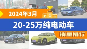 2024年3月20-25万纯电动车销量排行榜，Model 3夺得冠军，第二名差距也太大了 