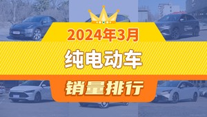 2024年3月纯电动车销量排行榜，Model Y夺得冠军，第二名差距也太大了 