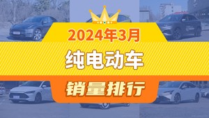 2024年3月纯电动车销量排行榜，Model Y夺得冠军，第二名差距也太大了 