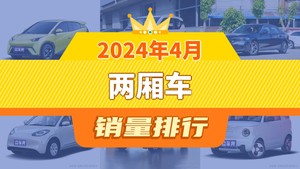 2024年4月两厢车销量排行榜，思域屈居第三，熊猫mini成最大黑马