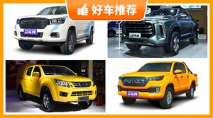 5座皮卡33万左右哪款好？准备买车的朋友千万别错过！