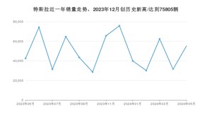 5月特斯拉销量怎么样? 众车网权威发布(2024年)