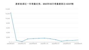 2024年5月比亚迪唐新能源销量多少？ 在哪个城市卖得最好？