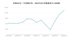 2024年5月极氪001销量多少？ 在哪个城市卖得最好？