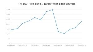 2024年5月奇瑞小蚂蚁销量多少？ 在哪个城市卖得最好？