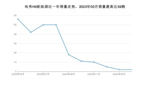 2024年5月哈弗H6新能源销量多少？ 在哪个城市卖得最好？