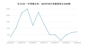 2024年5月江淮钇为3销量数据发布 共卖了728台