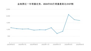 2024年5月SRM鑫源金海狮销量多少？ 在哪个城市卖得最好？