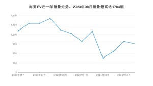 2024年5月SRM鑫源海狮EV销量多少？ 在哪个城市卖得最好？