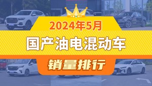 2024年5月国产油电混动车销量排行榜，哈弗H6夺得冠军，第二名差距也太大了 