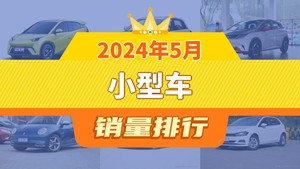 2024年5月小型车销量排行榜，海豚屈居第三，欧拉好猫成最大黑马