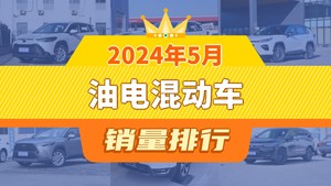 2024年5月油电混动车销量排行榜，锋兰达夺得冠军，第二名差距也太大了 