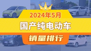 2024年5月国产纯电动车销量排行榜，海鸥以33544辆夺冠，长安LUMIN升至第9名 