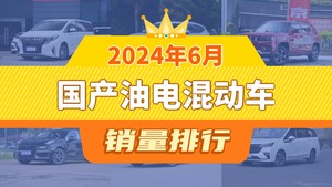 2024年6月国产油电混动车销量排行榜，北京BJ30屈居第三，传祺GS8成最大黑马