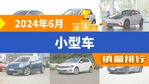 2024年6月小型车销量排行榜，五菱缤果位居第二，第一名你绝对想不到