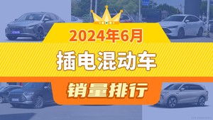 2024年6月插电混动车销量排行榜，驱逐舰05夺得冠军，第二名差距也太大了 