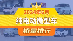 2024年6月纯电动微型车销量排行榜，宏光MINI EV以10187辆夺冠，思皓E10X升至第9名 