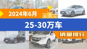 2024年6月25-30万车销量排行榜，Model 3位居第二，第一名你绝对想不到