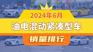 2024年6月油电混动紧凑型车销量解析，第一名你绝对想不到