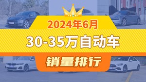 2024年6月30-35万自动车销量排行榜，Model Y夺得冠军，第二名差距也太大了 