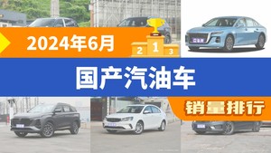 2024年6月国产汽油车销量排行榜，瑞虎8位居第二，第一名你绝对想不到