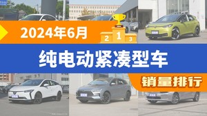 2024年6月纯电动紧凑型车销量排行榜，Aion S Plus位居第二，第一名你绝对想不到