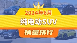 2024年6月纯电动SUV销量排行榜，Model Y以41110辆夺冠，蔚来EC6升至第10名 