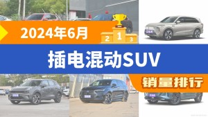 2024年6月插电混动SUV销量排行榜，宋Pro新能源夺得冠军，第二名差距也太大了 