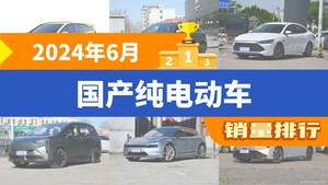 2024年6月国产纯电动车销量排行榜，元PLUS位居第二，第一名你绝对想不到