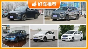 6座MPV16万左右哪款好？耐用又实惠的车，买车的朋友看过来