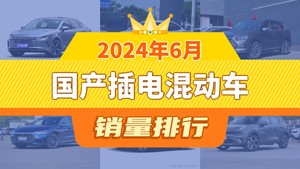 2024年6月国产插电混动车销量排行榜，秦PLUS位居第二，第一名你绝对想不到
