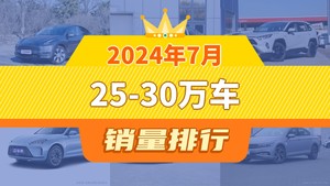 2024年7月25-30万车销量排行榜，Model Y夺得冠军，第二名差距也太大了 