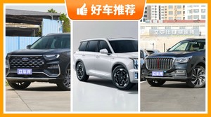 6座中大型SUV24万左右哪款好？众车网推荐，车主口碑助你选车！