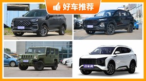 6座SUV16万左右哪款好？耐用又实惠的车，买车的朋友看过来