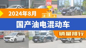 2024年8月国产油电混动车销量排行榜，北京BJ30位居第二，第一名你绝对想不到