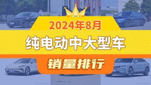 2024年8月纯电动中大型车销量排行榜，红旗E-QM5夺得冠军，第二名差距也太大了 