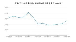 2024年8月大众途观L销量多少？ 在哪个城市卖得最好？